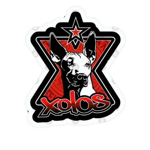 Logo of Xolos F.C